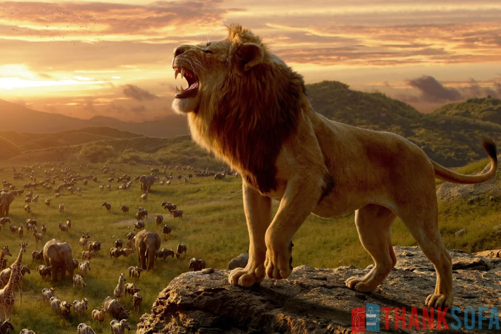 Sư tử - Lion- Panthera leo - ThankSofa Ảnh 1