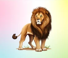 Sư tử - Lion- Panthera leo - ThankSofa Ảnh Bìa
