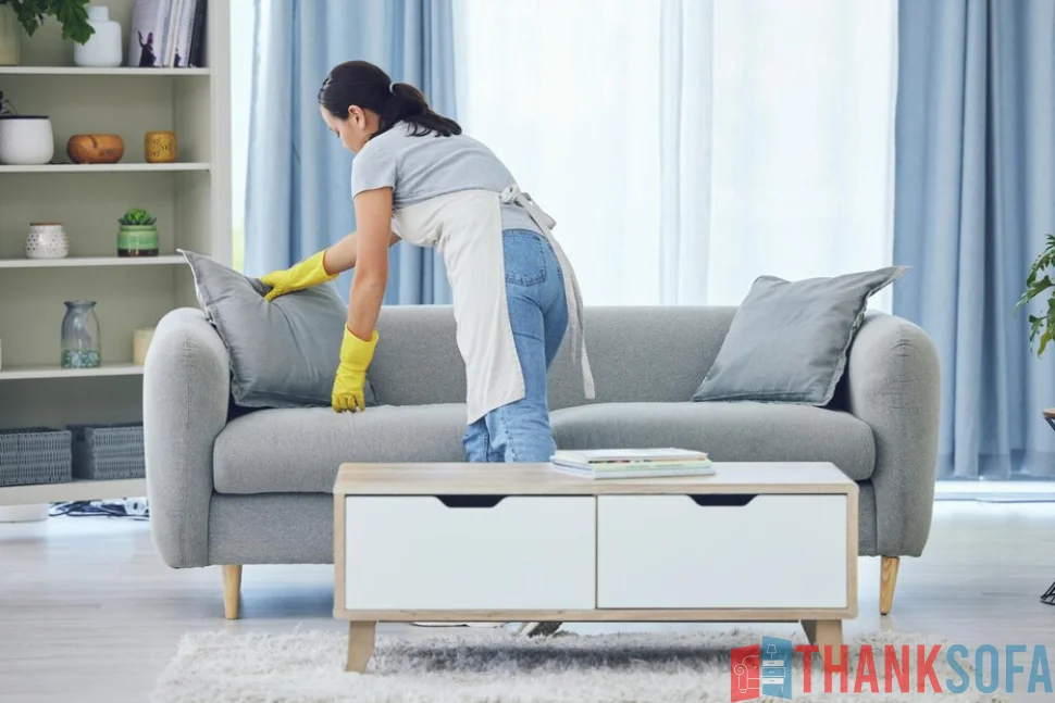 Cách bảo quản vệ sinh ghế sofa - ThankSofa Ảnh 3